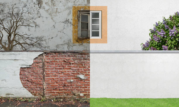 Reliable Mechanicsville, MD Mold Removal Solutions