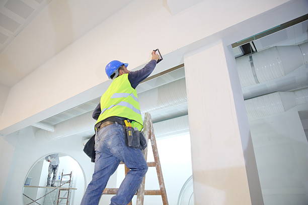 Best Basement Mold Removal  in Mechanicsville, MD